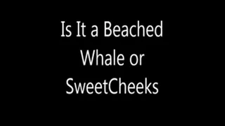 Is It A Beached Whale or Is It SweetCheeks