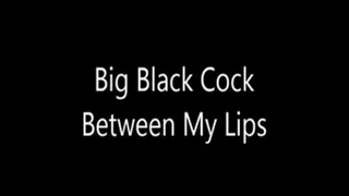 Big Black Cock Between My Lips