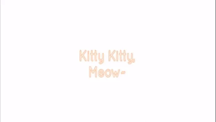 HD Kitty Kitty Meow~