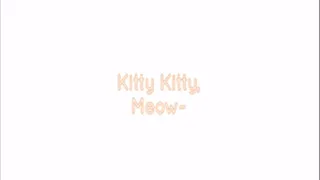 HD Kitty Kitty Meow~