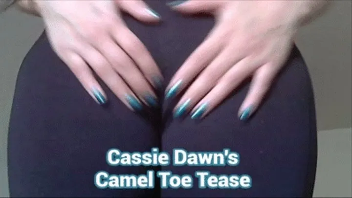 Cassie Dawn's Camel Toe Tease MP4