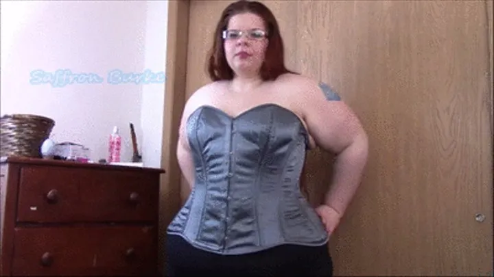 Silver Overbust Corset Tease