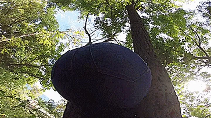 Mega ass stuck in a tree