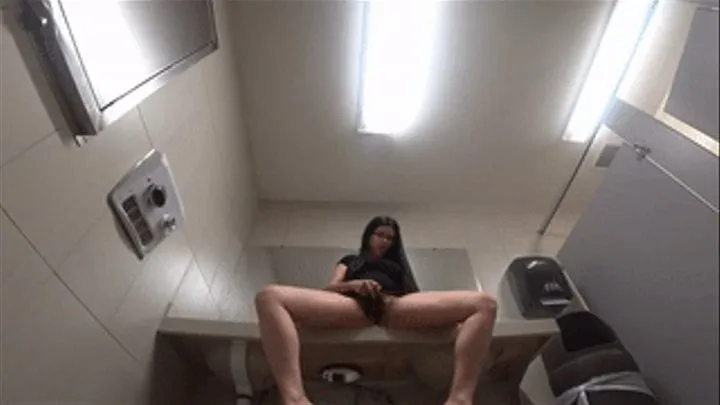 Getting Frisky and Risky in a Public Restroom WMV
