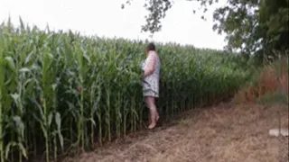 Playing Around In The Corn