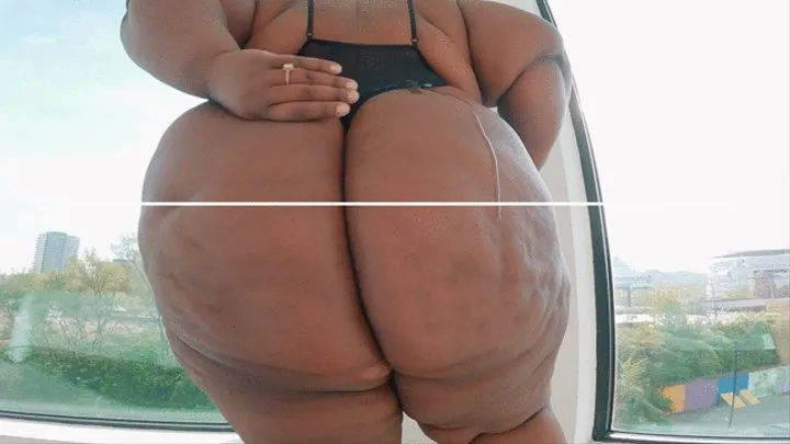 BIG BOOTY CHOCOLATE SSBBW ASS