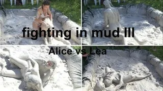 Fighting in Mud III