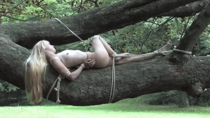 bondage tree with Tiny Lolicoon