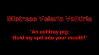 'An ashtray pig: hold my spit into your mouth!' - New Clip resolution