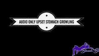 AUDIO ONLY: Upset stomach growls