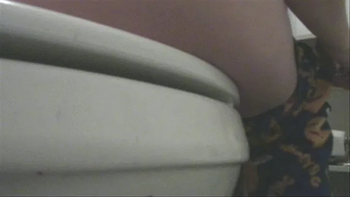 Spy cam toilet diary #1