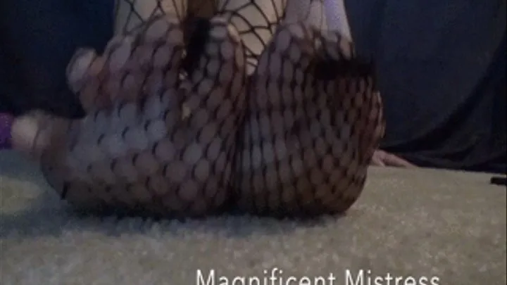 Fishnet Foot Worship