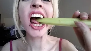 strong teeth vs celery stick crunchy chewing destruct1on