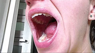 record the video from the bottom up showing in detail the sky of your mouth