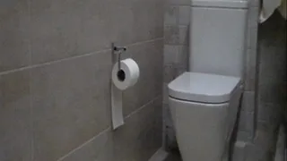 toiletry, toilet bowl, rinse in the toilet, go for a drink, on a small one., kick up an ass and pussy, sit and suffer from abdominal pain