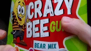 clip order crazy teddy bear
