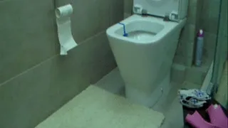 cleaning of a smelly toilet///
