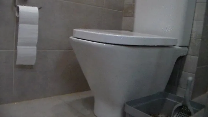 ass toilet home sit