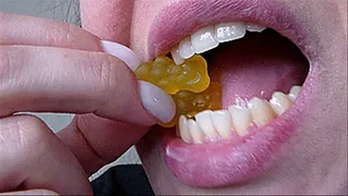 eat sweet gummi bears