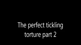 The perfect tickling part 2