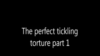 The perfect tickling part 1