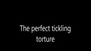 The perfect tickling