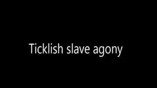 Tiicklish slave agony