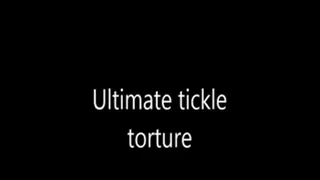 Ultimate tickle