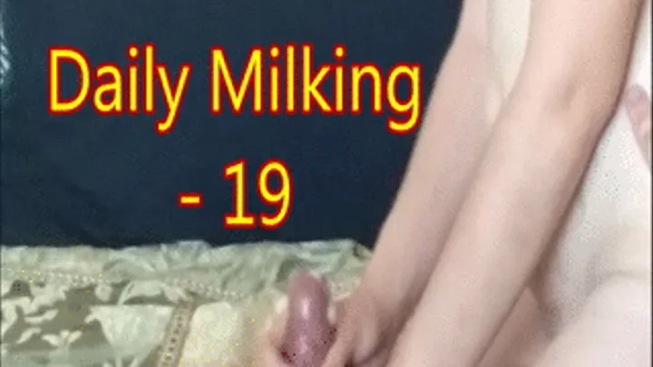 Daily Milking 19