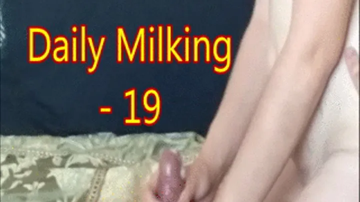 Daily Milking - 19