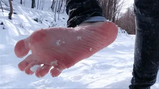 Snowy Soles