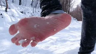 Snowy Soles