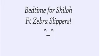 Bedtime For Shiloh