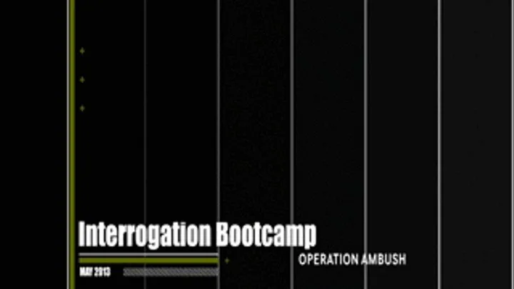 Operation Ambush
