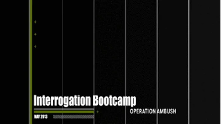 Interrogation Bootcamp