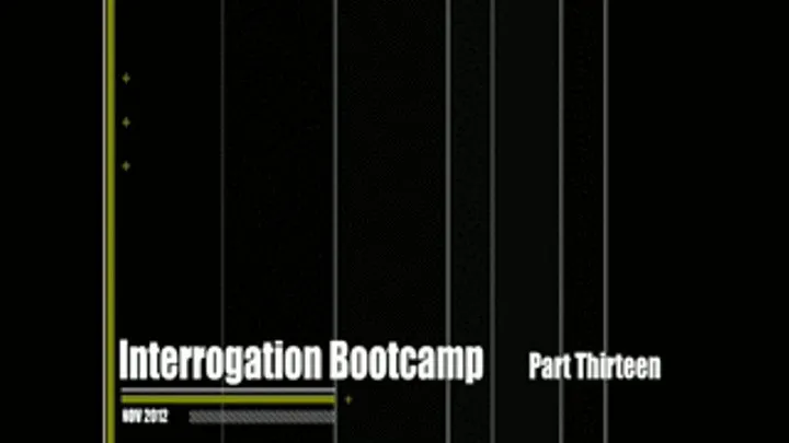 Interrogation Bootcamp V1 part 13