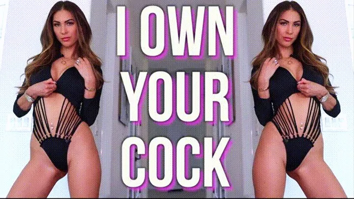 I Own Your Cock