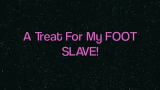 A Treat For My Foot Slave! POV, Feet