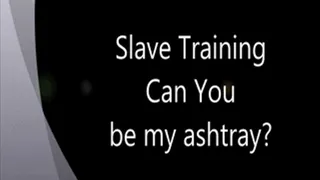 Slave Training Are U Ready