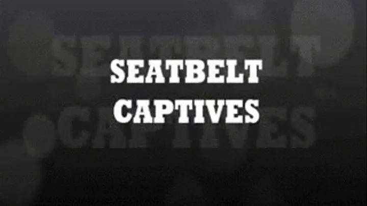 Seatbelt Captives