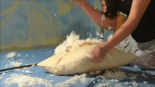 Pillow destruction in SLOW MOTION