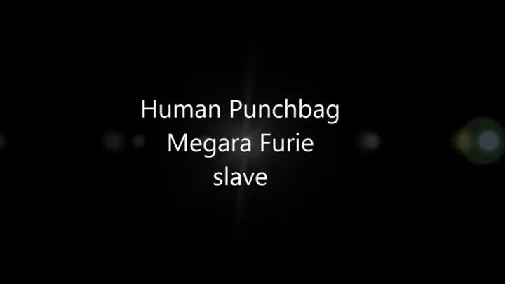 HUMAN PUNCHBAG