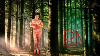 Pin-up lady posing in the forest She shows her tits and pussy Mesh tights Special effect