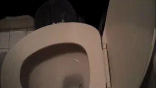 toilet fart and pee