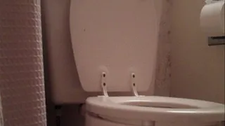 Toilet Time