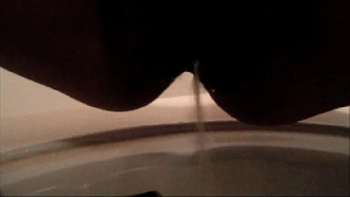 Closeup Sink Pee