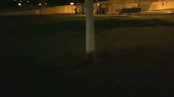 Public park dark piss