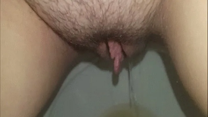 Horny toilet piss