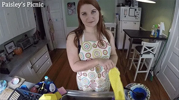 Dishwashing In Gloves and Apron