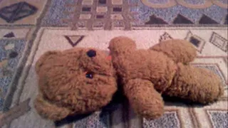 old teddy bear crushed